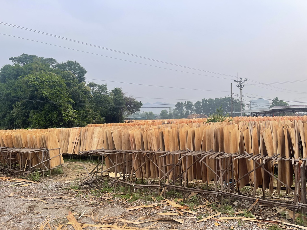NgocMinhWood Process